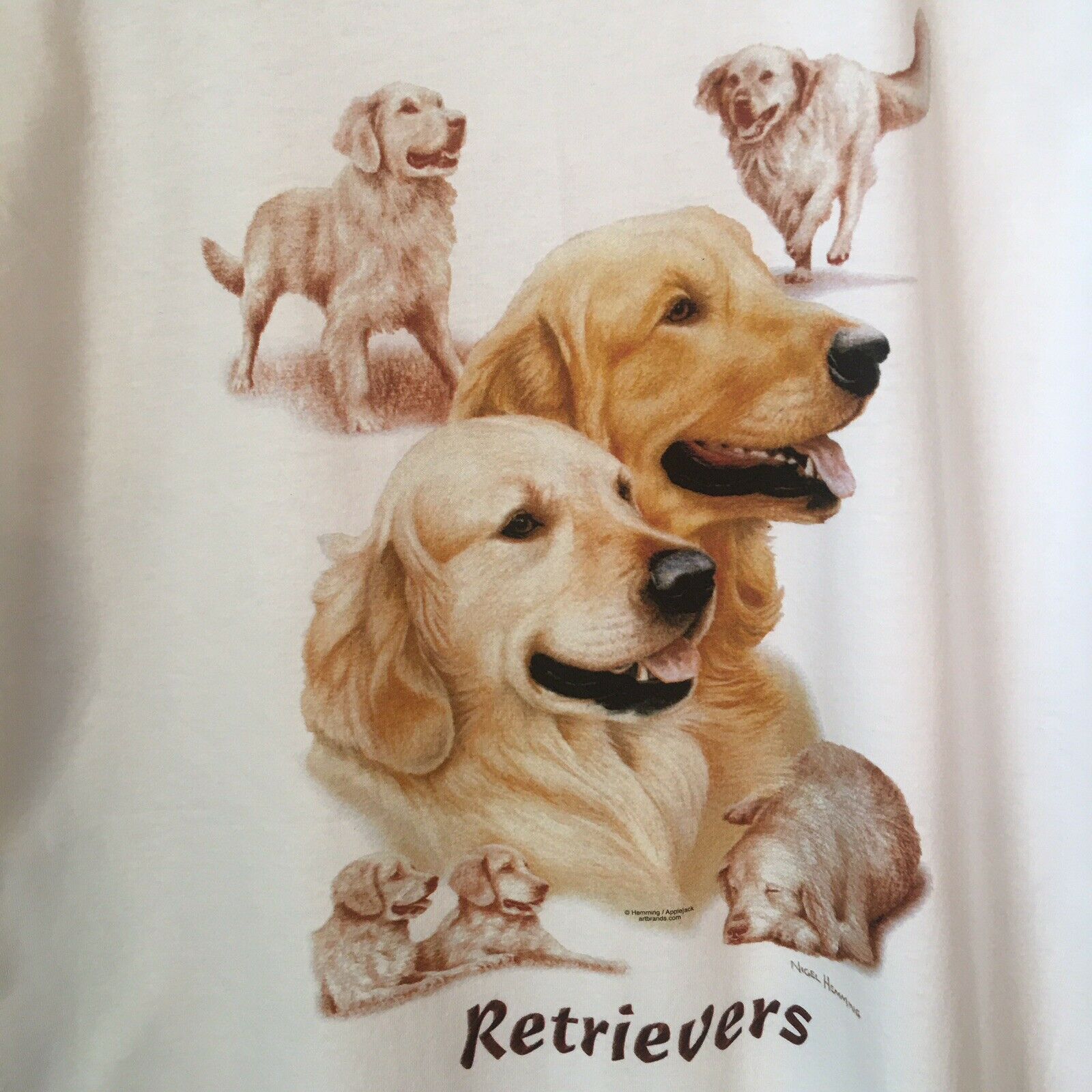 Golden Retriever Dog HEAT PRESS TRANSFER for T Shirt Tote Sweatshirt Fabric 874d