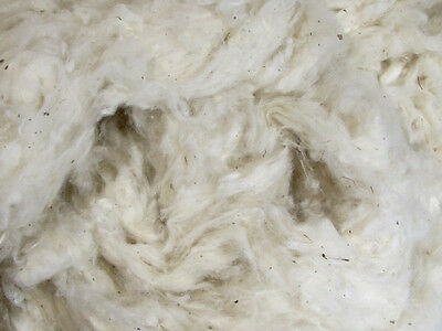 Organic Cotton Raw Fiber - Natural Color