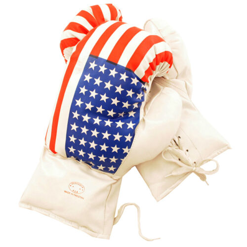 Age 6-8 Kids 6 Oz Boxing Gloves Youth Practice Training Mma American Usa Flag